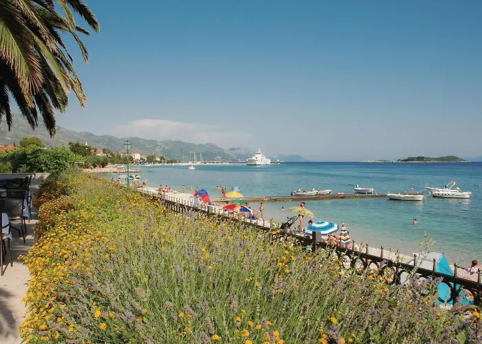 1 Bedroom Stunning In Dingac * Gornji Dingač